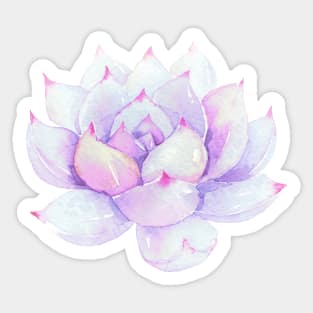 Watercolor Succulent sticker Sticker